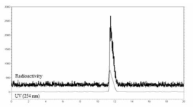 방사성리간드와 비방사성 동일 리간드의 co-injection HPLC 크로마토그램. 검정색(방사능 검출기); 회색(UV 검출기; 254 nm)