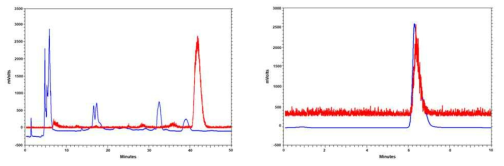 방사성리간드의 HPLC 정제 크로마토그램(좌); 방사성리간드와 비방사성 동일 리간드의 co-injection HPLC 크로마토그램(우). 빨간색(방사능 검출기); 파란색(UV 검출기; 254 nm)