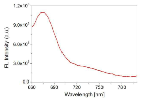 Cy5.5로 형광표지된 BSA 탑재 고분자 나노/마이크로 입자의 형광 스펙트럼