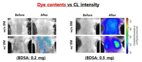 ROS프로브 투여 소동물 폐섬유증 모델의 화학발광 이미지: ROS프로브에 함유된 형광염료 BDSA양에 따른 영상 유효성 평가