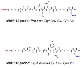 MMP-12 및 MMP-13 효소의 반응 기질에 대한 펩타이드 서열 합성