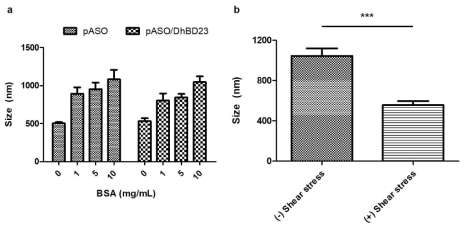 (a) DLS를 통한 pASO와 pASO/DhBD23의 혈청 단백질과 결합 후 크기 변화 분석. (b) DLS를 통한 pASO/DhBD23/BSA complex의 shear stress에 따른 크기 변화 분석