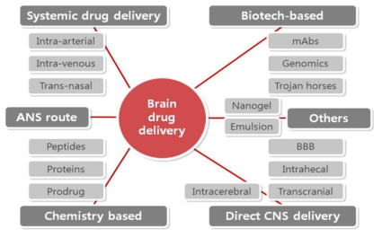 뇌를 target으로 한 약물전달의 다양한 연구 방향