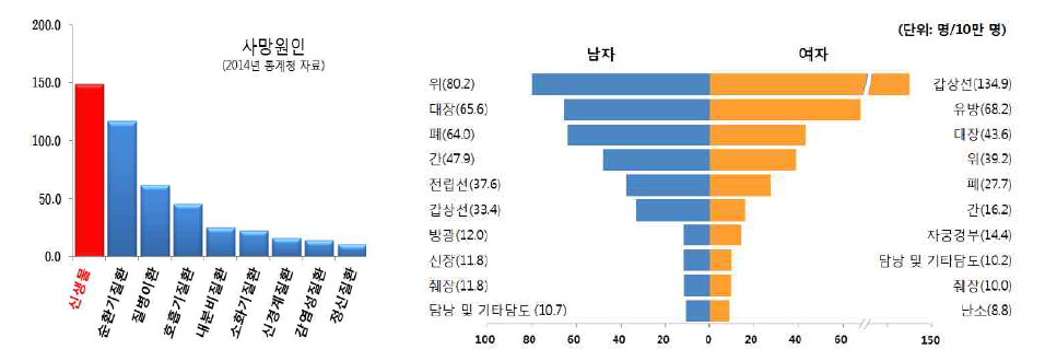 사망원인(좌), 암 종류별 발생률(우)