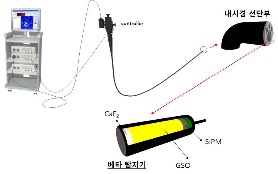 핵의학 베타 내시경 시스템 예상 모식도. 연성 베타내시경은 일반 광학 내시경의 Working Channel에 삽입해 핵의학 계수 정보 취득 가능