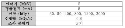 전자빔 조사 조건