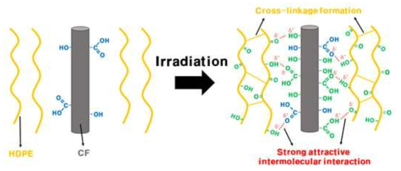 전자빔 조사에 따른 HDPE기반 CFRP의 인장강도 증가 제안 메커니즘