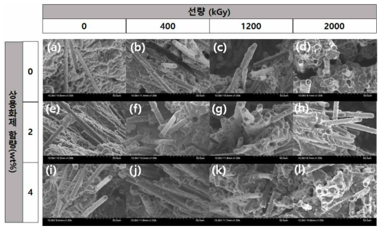 블렌드 CFRP (HDPE:PA66=25:75) 파단 시편의 상용화제 함량 및 선량에 따른 전자현미경 이미지