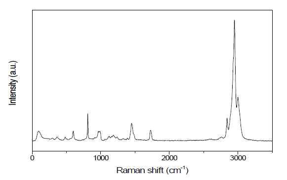 전자빔에 조사되기 전 PMMA의 Raman 스펙트럼