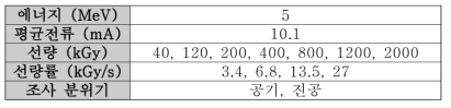 전자빔 조사 조건