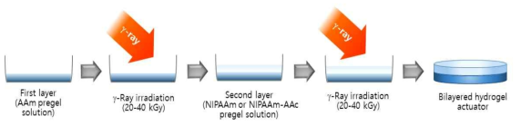 방사선조사를 통한 3D 가교구조의 하이드로겔 소프트액추에이터 제조