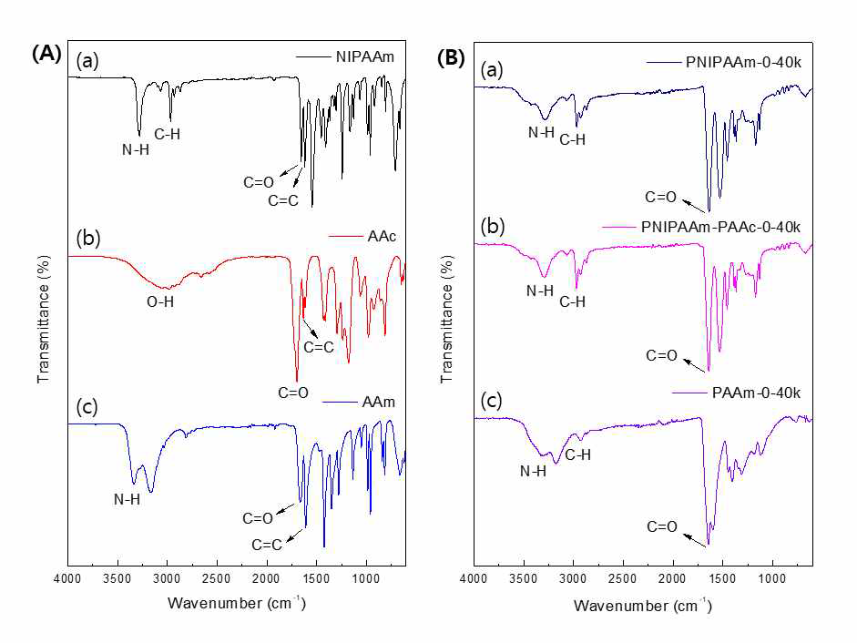 NIPAAm, AAc, PAAm 모노머 및 방사선을 이용해 가교한 하이드로겔의 FT-IR spectra