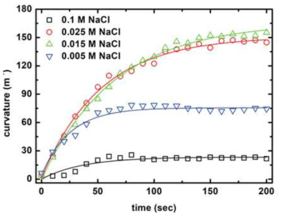 이온 농도에 따른 하이드로겔 curvature