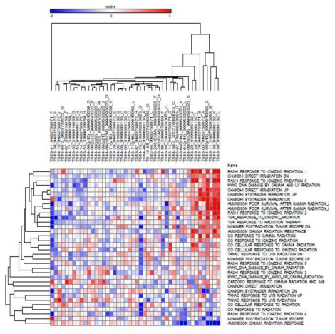 Whole-Genome Gene Expression Direct Hybridization을 통해 교모세포종 조직의 유전자와 종양구의 발현 패턴 분석