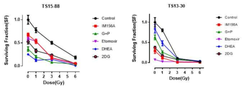 환자유래 교모세포종 종양구 TS15-88과 TS13-30에 대사 약물과 방사선 1, 3, 6Gy를 병용 처리 한 후 surviving fraction을 비교함