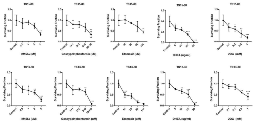 환자유래 교모세포종 종양구 TS15-88과 TS13-30에 대사 약물을 농도별로 처리 한 후 survivng fraction을 비교함