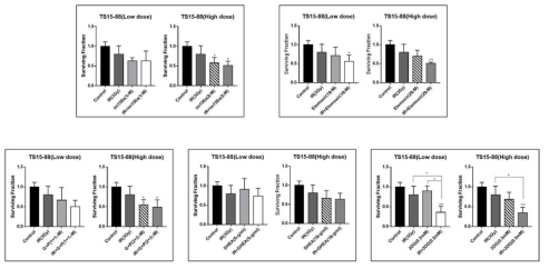 종양구 TS15-88에 방사선 조사 (3Gy)와 대사 조절 약물 (IM156A, Etomoxir, Gossypole+Phenformin, DHEA, 2DG)을 low dose, high dose로 처리하여 surviving fraction을 관찰함