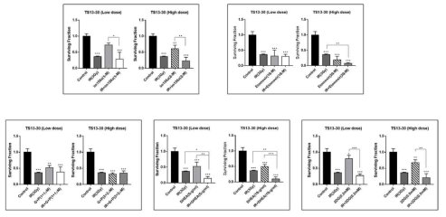 종양구 TS13-30에 방사선 조사 (3Gy)와 대사 조절 약물 (IM156A, Etomoxir, Gossypole+Phenformin, DHEA, 2DG)을 low dose, high dose로 처리하여 surviving fraction을 관찰함