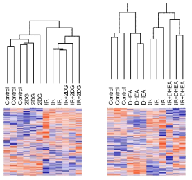 RNA-seq 샘플의 clustering 결과를 heat map으로 나타냄 (상위 30% 유전자 사용)