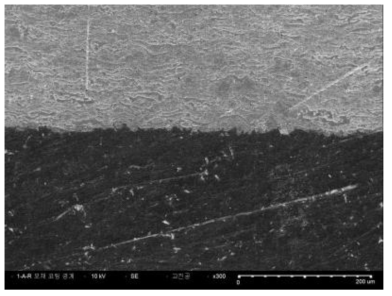 1-A-L 모재 코팅 경계 SEM x300