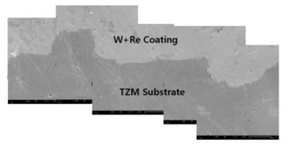 W+Re 코팅 단면 SEM 사진