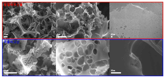 최종 합성된 팜열매부산물 및 추출리그닌 기반 다공성 탄소나노소재의 SEM 사진