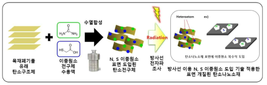 N, S 이종원소 복수 도입을 통해 표면 특성 제어된 탄소나노소재 합성 모식도