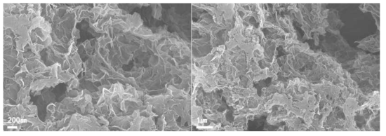 N, S 이종원소 복수 도입을 통해 표면 특성 제어된 탄소나노소재의 SEM 사진
