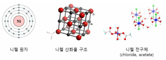 니켈 원자의 구조, 산화물 나노입자 구조 모식도 및 전구체