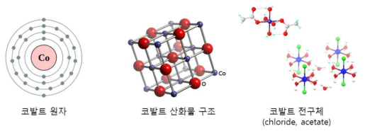 코발트 원자의 구조, 산화물 나노입자 구조 모식도 및 전구체