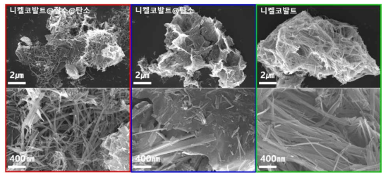 최종 소재인 니켈코발트 이중금속산화물 나노입자 및 질소 이종원소 표면 도입된 탄소구조체 복합화된 탄소나노소재의 SEM 사진