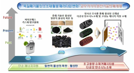 방사선 조사를 이용한 탄소나노복합구조체 합성 및 초고용량 슈퍼커패시터로의 응용