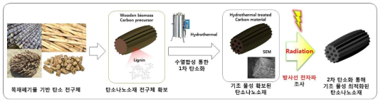 탄소나노소재에의 방사선 전자파 조사를 통한 탄소나노소재 확보