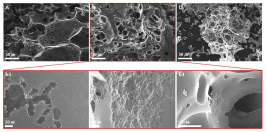 화학적 활성화를 통해 최종 합성된 다공성 탄소나노소재의 SEM 분석 사진 A: 탄소:활성화제 비율 1:1 시료, B: 탄소:활성화제 비율 1:2 시료, C: 탄소:활성화제 비율 1:3 시료, b1, b2, b3: 탄소:활성화제 비율 3:1 시료의 미세기공 구조