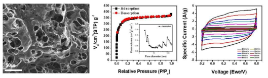 1차년도 연구 결과로부터 적용한 활성화된 탄소나노소재(1:2 탄소:활성화제 비율)의 기초 성능