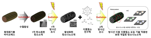 방사선 조사를 통한 이종원소 도입된 다공성 탄소나노소재의 합성 과정 모식도