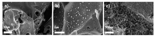 방사선 전자파 조사를 통해 인 원소 도입한 다공성 탄소나노소재(농도 1.20mol/L)의 배율별 SEM 사진(a:5,000배, b: 30,000배, c:200,000배)