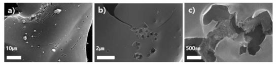 방사선 전자파 조사를 통해 황 원소 도입한 다공성 탄소나노소재(농도 1.00mol/L)의 배율별 SEM 사진(a:5,000배, b: 30,000배, c:200,000배)