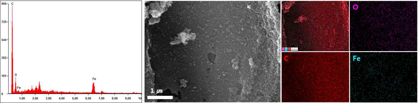 금속산화물 복합화된 다공성 탄노나노소재의 EDS 및 SEM mapping 분석 결과
