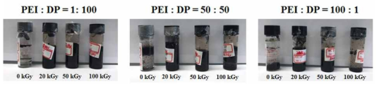 PEI:Dp 혼합 비율별 방사선 조사에 따른 GO 벌크 구조 형성 변화