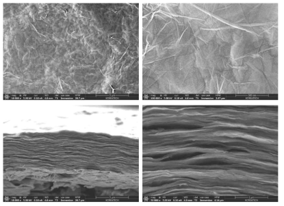 GO-PDA 다층막의 FE-SEM 분석 (위: 표면, 아래: 측면)