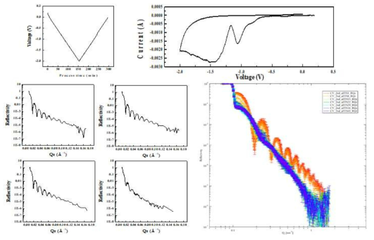 전기화학 테스트와 동시 측정된 중성자반사율 데이터