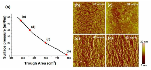 랭뮤어-쉐퍼 방법을 통한 GNS의 morphology 조절 모습. (a) pH 7.4인 GO solution(액체) - 기체 계면에서 20 μL의 ODA solution (1 mg/ml)을 spreading 한 후 20°C에서 compression 한 표면압력 – 트루프 넓이 (π-A) 등온선. (b) 1.5, (c) 20, (d) 40, and (e) 55 mN m-1 에서 증착된 GNS 모노레이어의 AFM 이미지. 평균 root mean square (RMS) 거칠기 값은 각각 (c) 1.0, (d) 2.0, and (e) 3.2 nm 로 얻어짐