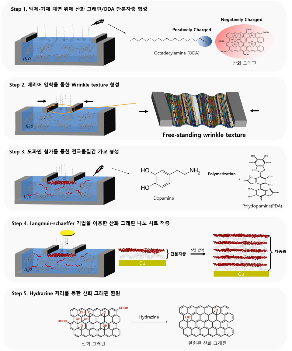 Wrinkle-texture 그래핀 나노시트 다층 박막 형성 과정