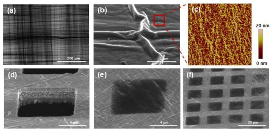 TEM grid 위에 증착시킨 GNS의 free-standing Wrinkle 구조. (a),(b) 랭뮤어 -쉐퍼 기법을 통해 교차증착시킨 GNS의 SEM 이미지. (c) SEM이미지 상에 flat한 부분을 AFM 으로 촬영한 이미지. 작은 주름구조를 확인할 수 있음. (d) 증착 전 구리 grid의 SEM 이미지. (e),(f) TEM 그리드 위에 LS기법으로 증착시킨 GNS 다층막의 SEM 이미지