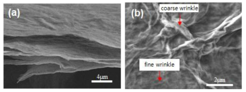 (a) 20층 GNS 멀티레이어의 SEM 단면 이미지. (b) 20층 GNS 멀티레이어 내부의 거친, 미세한 주름 구조