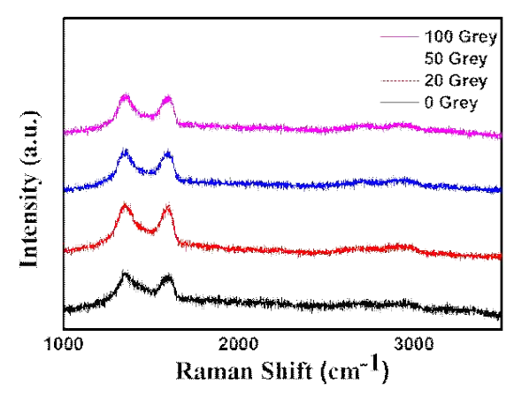 감마선 조사 샘플 Raman 분석 결과