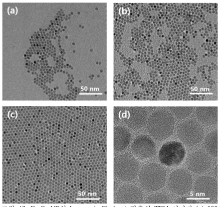 Fe3O4 NP의 Langmuir-Blodgett 단층의 TEM 이미지 (a) 100 ppm GO subphase에서 320 μL (1 mg mL-1) Fe3O4 NP로 압축하기전; (b) 100 ppm GO subphase에서 Fe3O4 NP로 압축하기 전 (c) 42 mN m-1의 표면 압력에서 압축 후 Langmuir-Blodgett 단일 층의 TEM 이미지. (d) 해당 고해상도 (HR) -TEM 결과