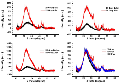감마선 조사에 따른 XRD 분석