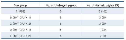 각 그룹별 자돈에서 야외 독성 균주로 도전감염 후 발현된 임상 증상